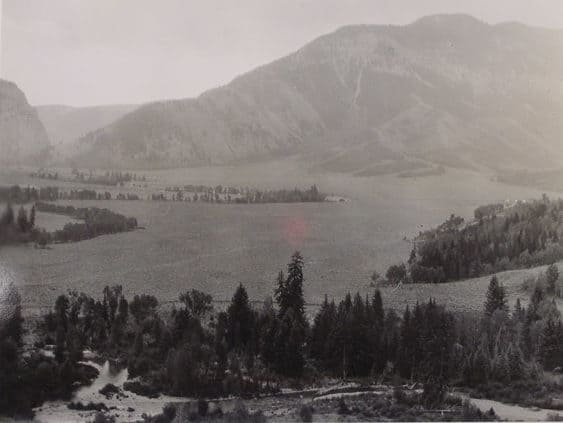 Black and white aerial view of trees and mountains at Camp Davis